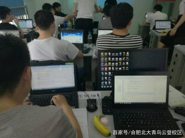 汽车维修与计算机软件开发 职业前景的深度对比分析